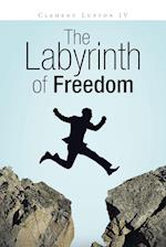 The Labyrinth of Freedom