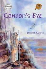 Condor's Eye