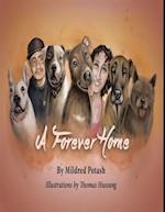 Forever Home