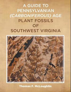 Guide to Pennsylvanian Carboniferous-Age Plant Fossils of Southwest Virginia.