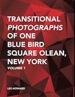 Transitional Photographs of One Blue Bird Square Olean, New York