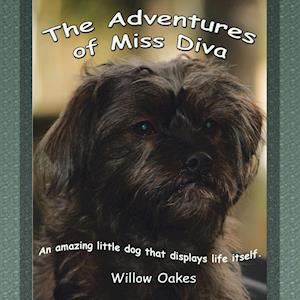 The Adventures of Miss Diva