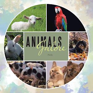 Animals Galore