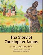 Story of Christopher Bunny