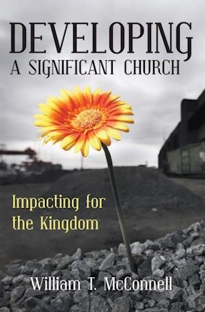 Developing a Significant Church