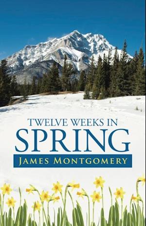 Twelve Weeks in Spring