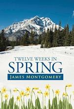 Twelve Weeks in Spring