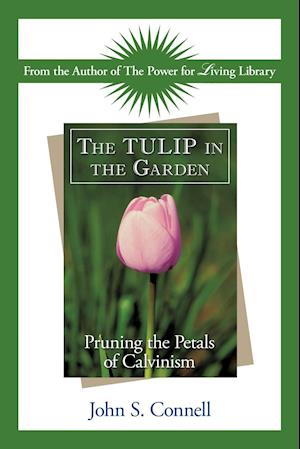 The Tulip in the Garden