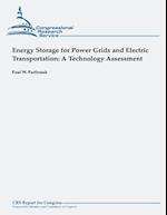 Energy Storage for Power Grids and Electric Transportation