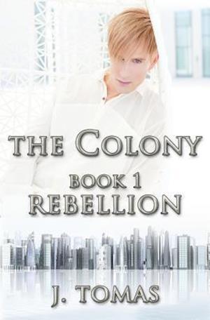 The Colony Book 1: Rebellion