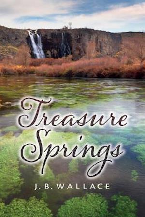 Treasure Springs