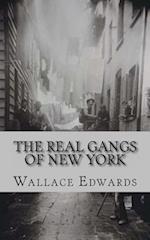 The Real Gangs of New York