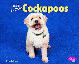 You'll Love Cockapoos