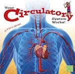 Your Circulatory System Works!