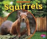 Squirrels