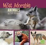 The Most Adorable Animals in the World