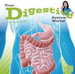 Your Digestive System Works (Your Body Systems)
