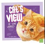 A Cat's View of the World