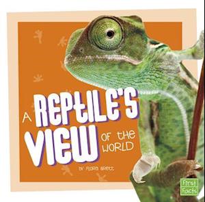 A Reptile's View of the World