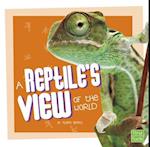 A Reptile's View of the World