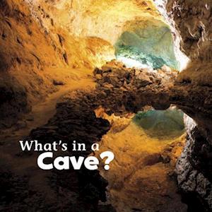 What's in a Cave?