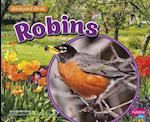 Robins