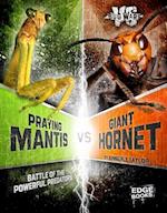 Praying Mantis vs. Giant Hornet