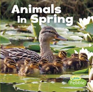 Animals in Spring