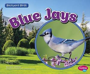 Blue Jays