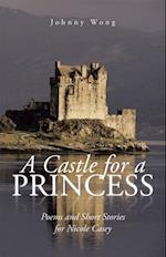 Castle for a Princess