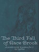 Third Fall of Race Brook