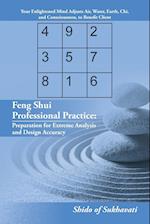 Feng Shui Professional Practice