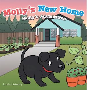 Molly'S New Home