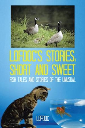 Lofdoc's Stories: Short and Sweet