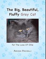 Big, Beautiful, Fluffy Gray Cat