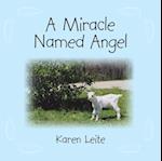 Miracle Named Angel