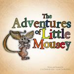Adventures of Little Mousey