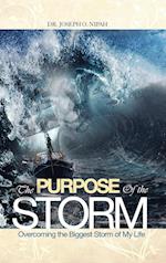 The Purpose of the Storm