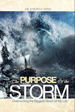 The Purpose of the Storm