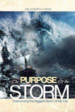 Purpose of the Storm