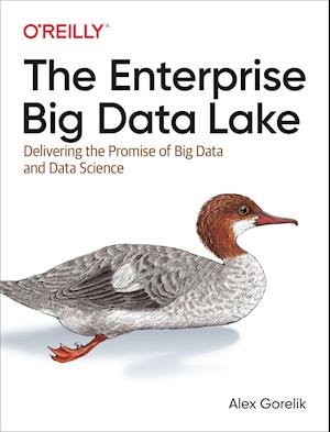 The Enterprise Big Data Lake