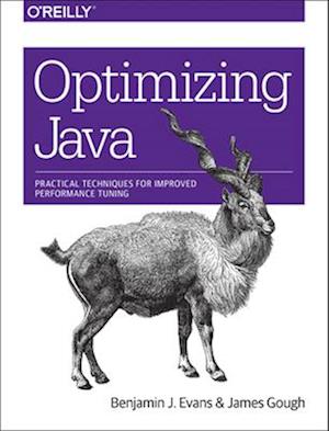 Optimizing Java