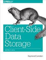 Client–Side Data Storage