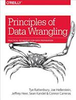 Principles of Data Wrangling