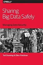 Sharing Big Data Safely