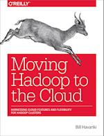 Moving Hadoop in the Cloud
