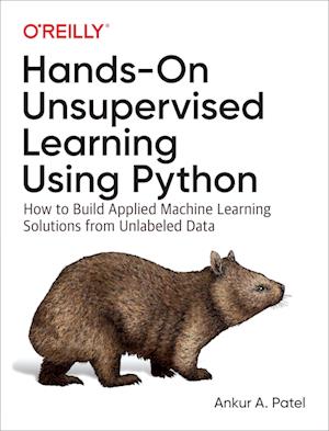 Hands-On Unsupervised Learning Using Python