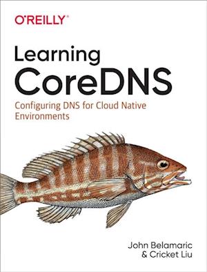 Learning CoreDNS