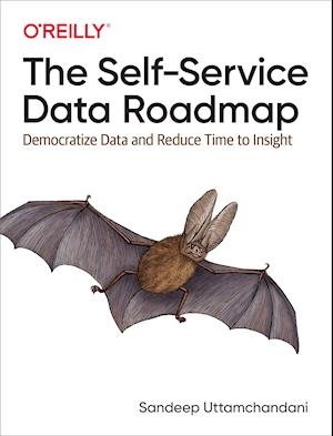 The Self-Service Data Roadmap