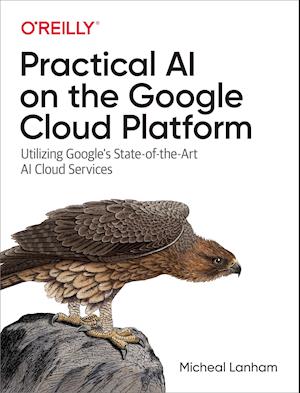 Practical AI on the Google Cloud Platform